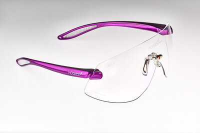 Hogies Schutzbrille, unsteril