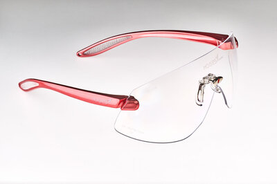 Hogies Schutzbrille, unsteril