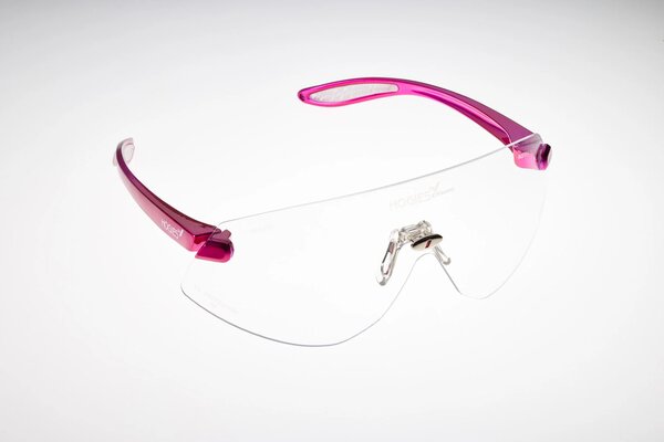 Hogies Schutzbrille, unsteril